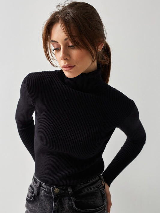 Turtleneck Knit Pullover